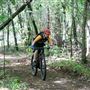 Black Creek Mountain Bike Park