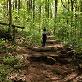 Ruffner Mountain managed by Jefferson County Greenways