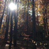 Moss Rock Preserve