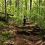 Ruffner Mountain managed by Jefferson County Greenways
