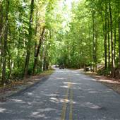 Oak Mountain State Park: Roads