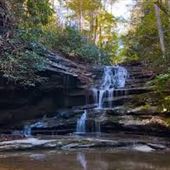 Turkey Creek Nature Preserve managed by Jefferson County Greenways