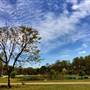 Avondale Park