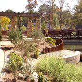 Homewood Central Park