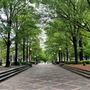 Linn Park