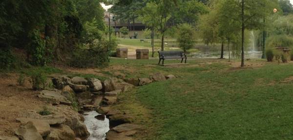 Avondale Park (6/28/2017)