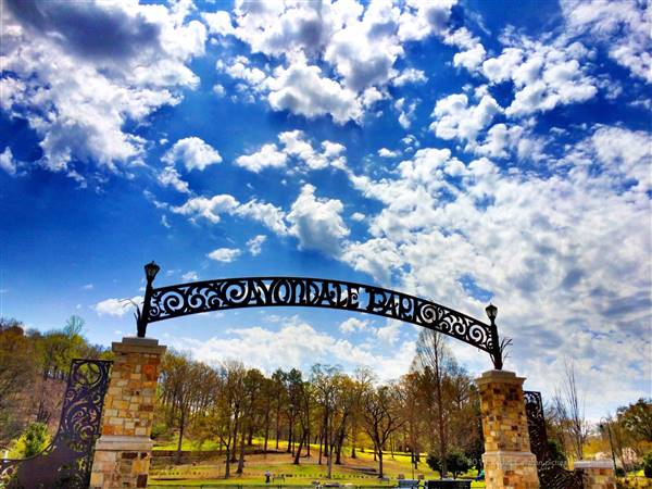 Avondale Park (6/28/2017)