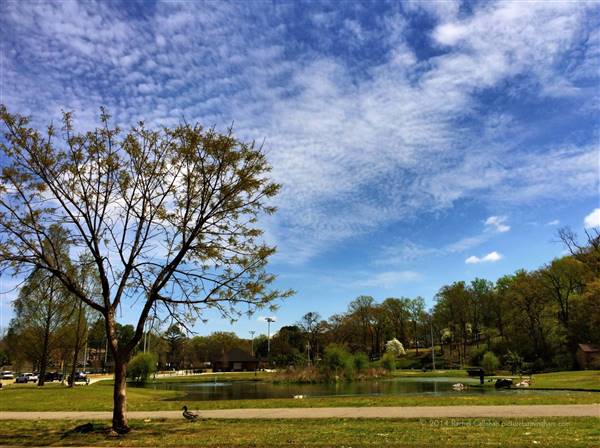 Avondale Park (6/28/2017)