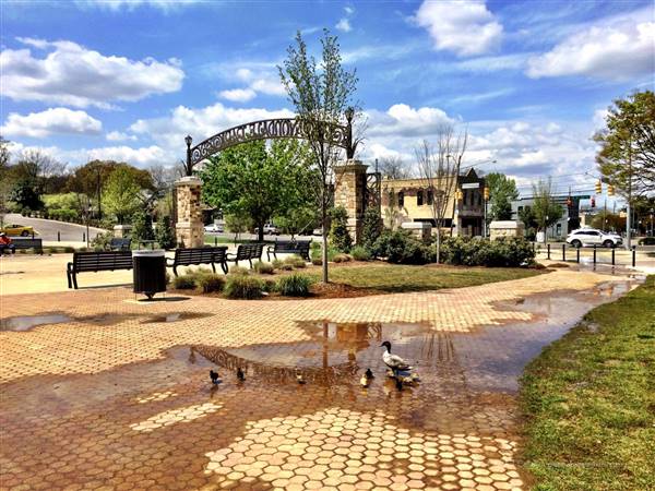 Avondale Park (6/28/2017)